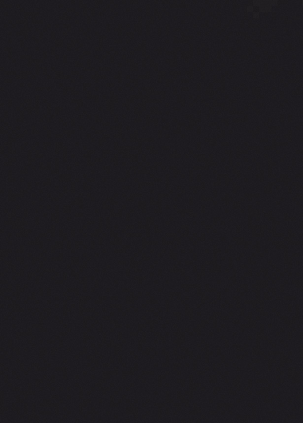 624 Mon. Tölgy hátfallemez 4100x640x10mm