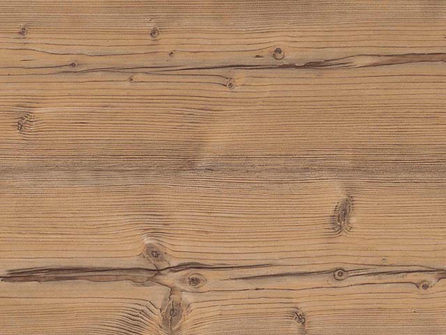 H1487 ST22 BRAMBERG LARCH                5000x45mm                               