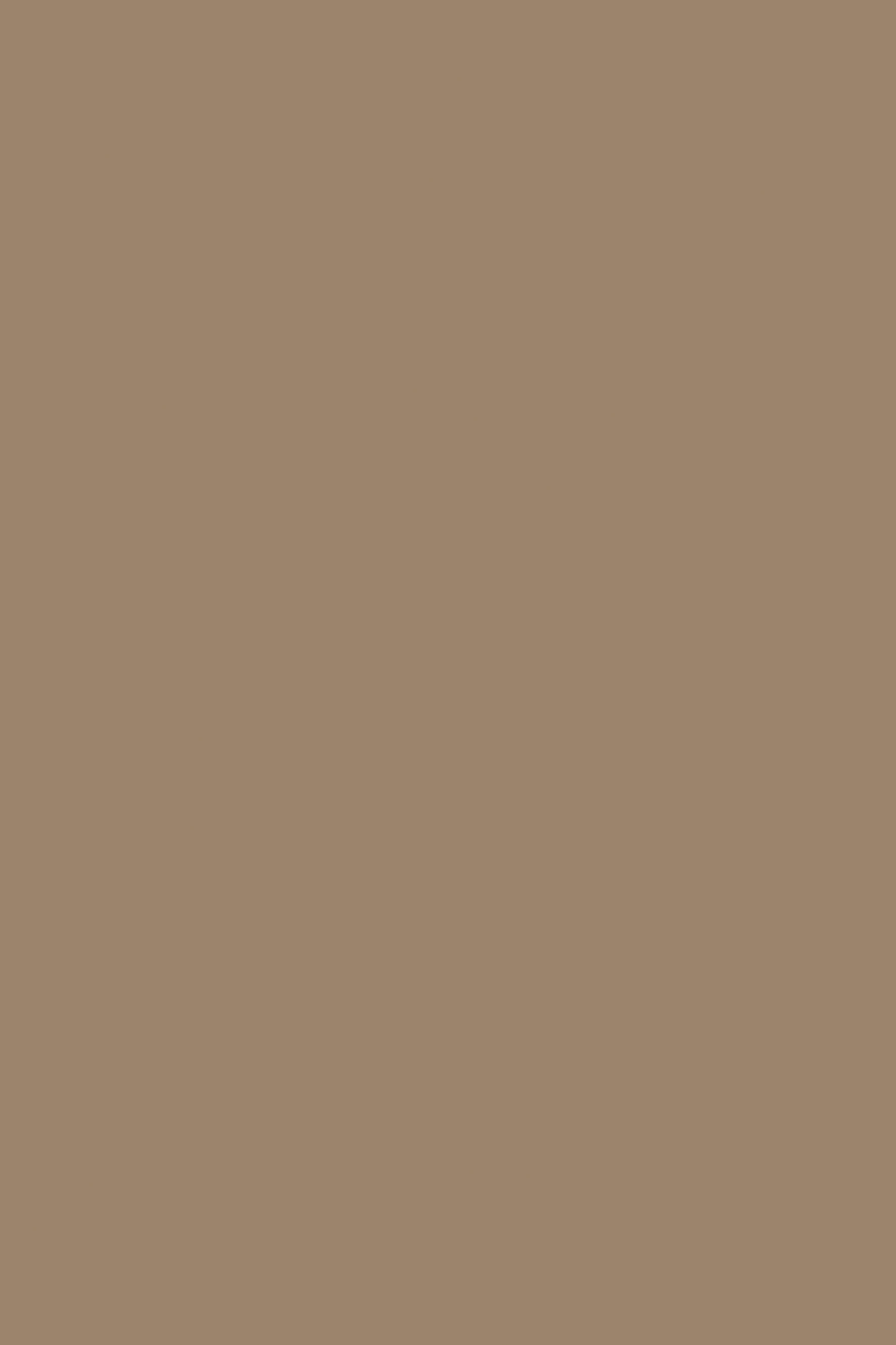 301FS08 Cappucino 2800x2070x18mm